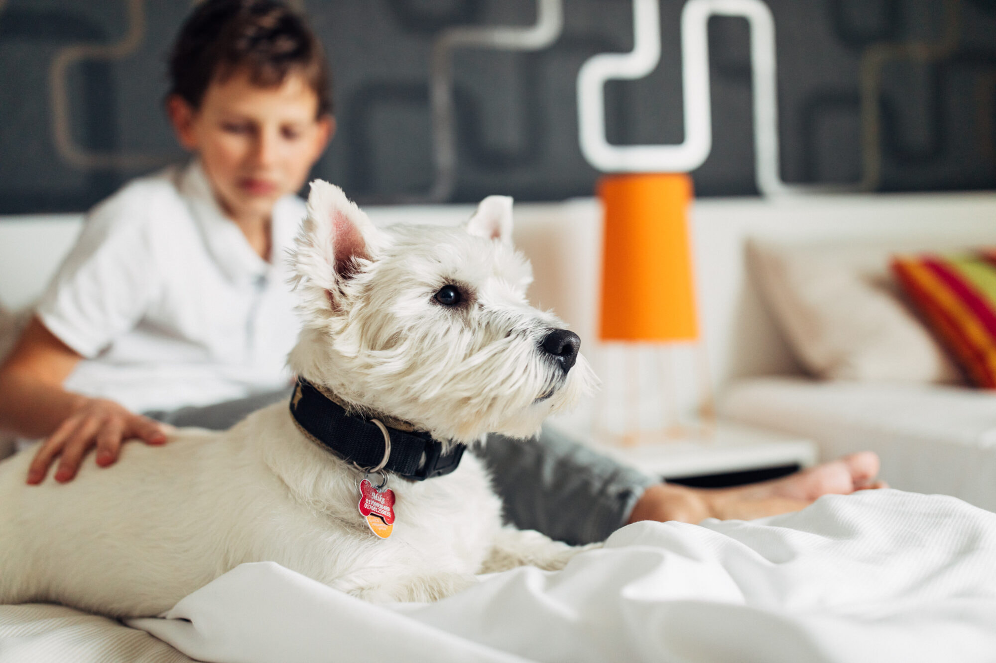 harryshome_18_72dpi_ap_dz (201 von 321)